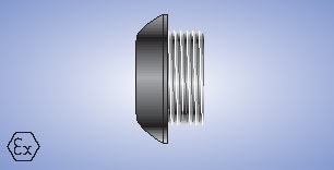 CCG Metric Blanking Plugs