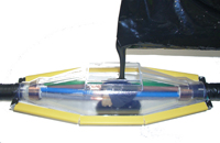 Larger_shell_-_200x_133